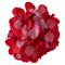 12 Pack: Red Decorative Rose Petals by Celebrate It™ Occasions™